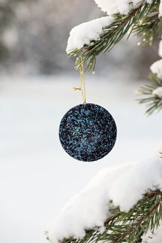 Hanging blue glitter Christmas ball on spruce and over blurred background.