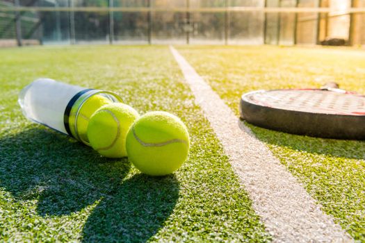 paddle tennis racket and tube with balls on court of artificial grass at sunset, indoor sports concept and sporty lifestyle
