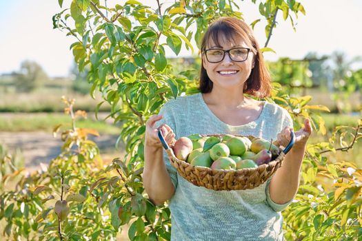 Woman harvesting organic pears in garden on sunny autumn day. Middle-aged female near pear tree, posing in an orchard. Agriculture, harvesting, farming, natural eco fruits, healthy eating concept