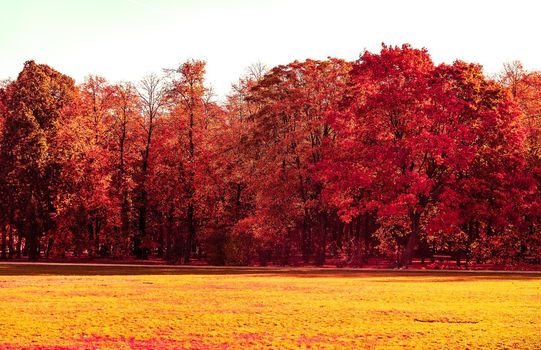 Seasonal travel, retro backdrop and rural environment concept - Beautiful autumn landscape background, vintage nature scene in fall season