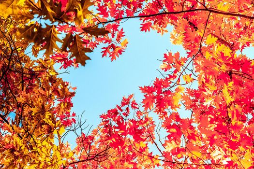 Seasonal travel, retro backdrop and rural environment concept - Beautiful autumn landscape background, vintage nature scene in fall season