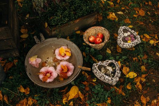 Dry flowers and leaves float in the water in the autumn garden