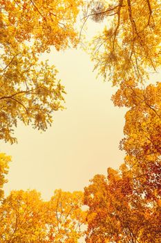 Seasonal travel, retro backdrop and rural environment concept - Beautiful autumn landscape background, vintage nature scene in fall season