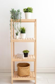 Various artificial succulents with exotic plants stand in white ceramic pots on a wooden shelf against a white wall. Space for copying. Vertical