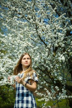 beautiful girl in a dress walking in the spring forest where the trees bloom