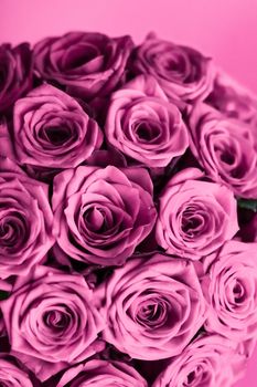 Blooming rose, flower blossom and Valentines Day gift concept - Luxury bouquet of purple roses, flowers in bloom as floral holiday background