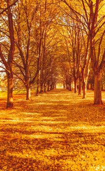 Seasonal travel, retro backdrop and rural environment concept - Beautiful autumn landscape background, vintage nature scene in fall season