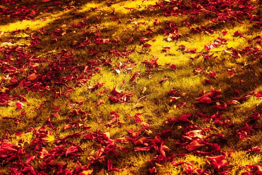 Seasonal travel, retro backdrop and rural environment concept - Beautiful autumn landscape background, vintage nature scene in fall season