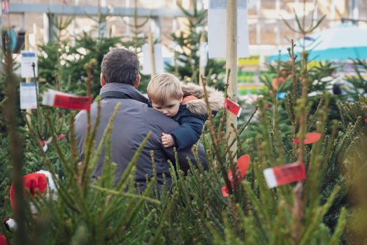 Father and children choose a Christmas tree in the market.