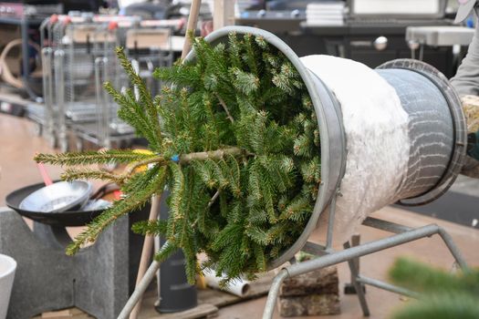 Salesman being wrapped up a cut Christmas tree packed in a plastic net