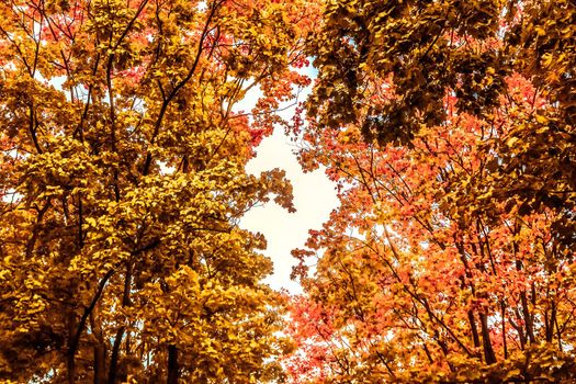 Seasonal travel, retro backdrop and rural environment concept - Beautiful autumn landscape background, vintage nature scene in fall season