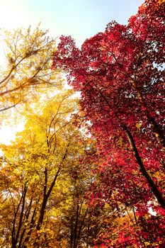 Seasonal travel, retro backdrop and rural environment concept - Beautiful autumn landscape background, vintage nature scene in fall season