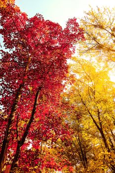 Seasonal travel, retro backdrop and rural environment concept - Beautiful autumn landscape background, vintage nature scene in fall season