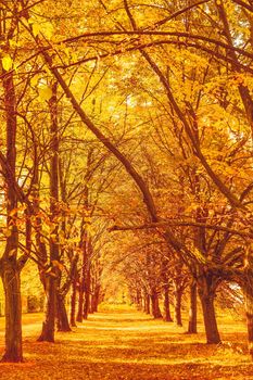 Seasonal travel, retro backdrop and rural environment concept - Beautiful autumn landscape background, vintage nature scene in fall season