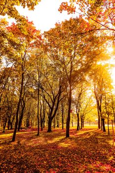 Seasonal travel, retro backdrop and rural environment concept - Beautiful autumn landscape background, vintage nature scene in fall season