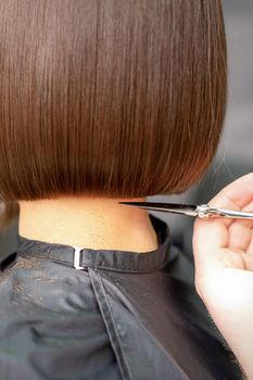 The hairdresser cuts the hair of a brunette woman. Hairstylist is cutting the hair of female client in a professional hair salon, close up