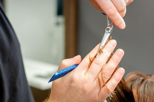 The hairdresser cuts the hair of a brunette woman. Hairstylist is cutting the hair of female client in a professional hair salon, close up