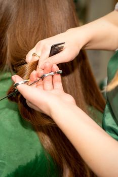 A hairdresser is cutting long hair in a hair salon