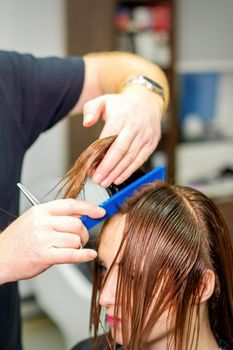 The hairdresser cuts the hair of a brunette woman. Hairstylist is cutting the hair of female client in a professional hair salon, close up