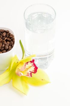 Cup of coffee beans and glass of water with yellow orchid flower against a white background