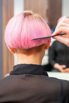 Professional hairdresser brushing short pink hair of young woman with a comb in a hairdressing salon, woman hair, rearview, copy space, back view