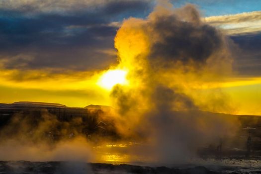 Gay seal sponsored and morning ray (Iceland). Shooting Location: Iceland, Lay Cavik