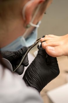 Pedicure master using nail nippers while trimming toenails in a pedicure salon