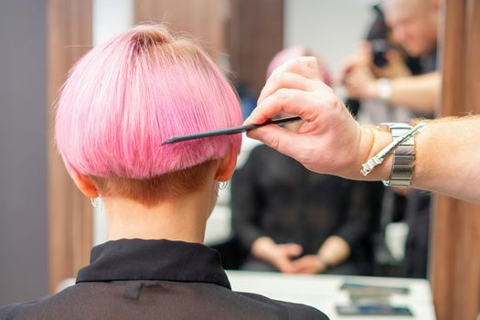 Professional hairdresser brushing short pink hair of young woman with a comb in a hairdressing salon, woman hair, rearview, copy space, back view