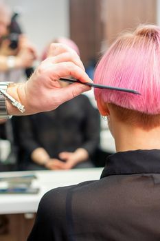 Professional hairdresser brushing short pink hair of young woman with a comb in a hairdressing salon, woman hair, rearview, copy space, back view