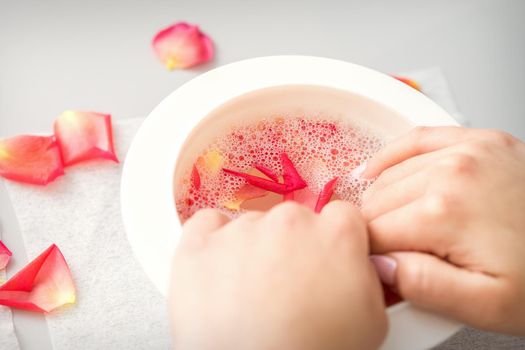 Female hands in a bowl of water with pink petals of rose flowers in spa