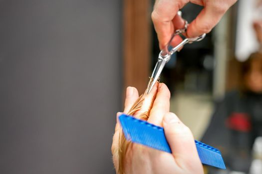 Haircut of red hair tips with comb and scissors by hands of a male hairdresser in a hair salon, close up