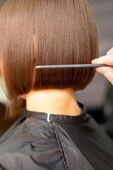 A hairdresser is combing the short hair of the brunette female client in the hairdresser salon, back view