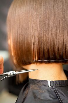 Haircut of short hair of young white woman by hands of a hairdresser in a hair salon, back view, close up