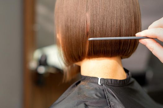 A hairdresser is combing the short hair of the brunette female client in the hairdresser salon, back view