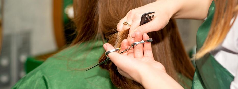 A hairdresser is cutting long hair in a hair salon