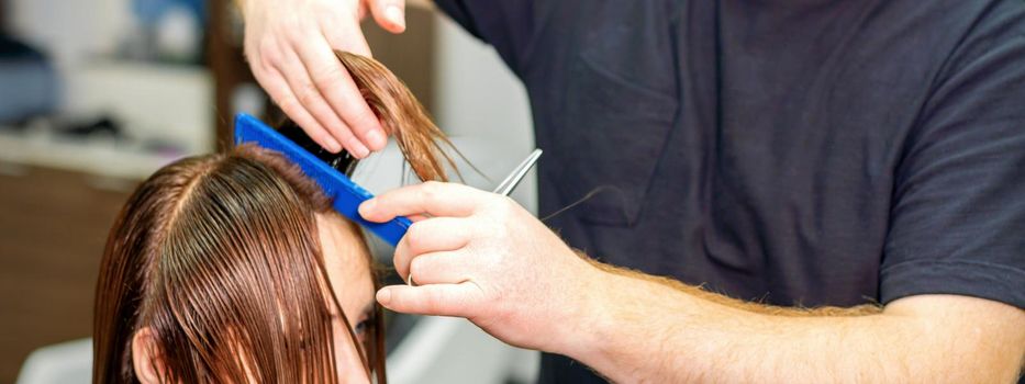 The hairdresser cuts the hair of a brunette woman. Hairstylist is cutting the hair of female client in a professional hair salon, close up