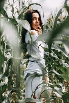 A brunette girl in a white dress in a cornfield. The concept of harvesting.