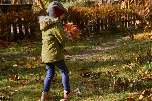 Autumn is the most colorful time of the year from all seasons,golden colors. Child in green jacket collects a bouquet of autumn colorful leaves for mom