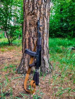 Small arms automatic weapon Kalashnikov. Kalashnikov assault rifle. Automatic army small arms. Military equipment. Military operations in the forest.