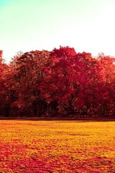 Seasonal travel, retro backdrop and rural environment concept - Beautiful autumn landscape background, vintage nature scene in fall season