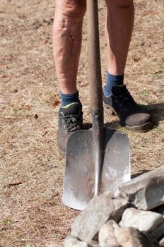 gardener in dirty work clothes and boots holds garden tools, shovel, seasonal spring work in the garden. High quality photo