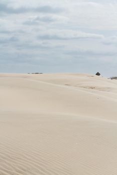 Coastal dunes of South Padre Island, TX.