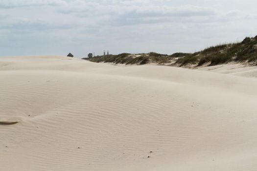 Coastal dunes of South Padre Island, TX.