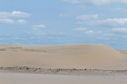 Coastal dunes of South Padre Island, TX.