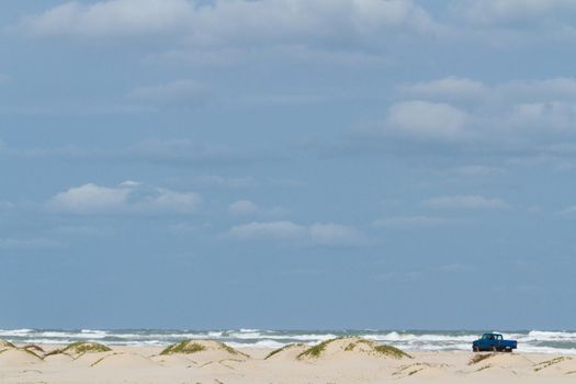 Coastal dunes of South Padre Island, TX.