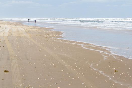 Beach of South Padre Island, TX.