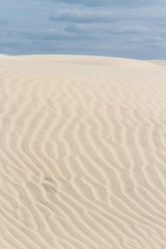 Patterns in the sand on South Padre Island, TX.