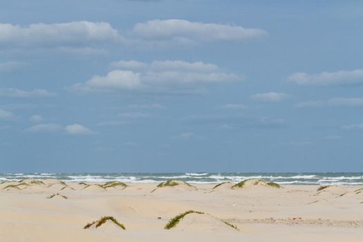 Coastal dunes of South Padre Island, TX.