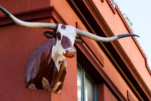 Sculpture of texas longhorn on building exterior.