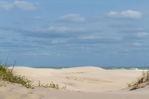 Coastal dunes of South Padre Island, TX.